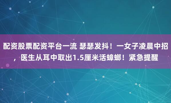 配资股票配资平台一流 瑟瑟发抖！一女子凌晨中招，医生从耳中取出1.5厘米活蟑螂！紧急提醒