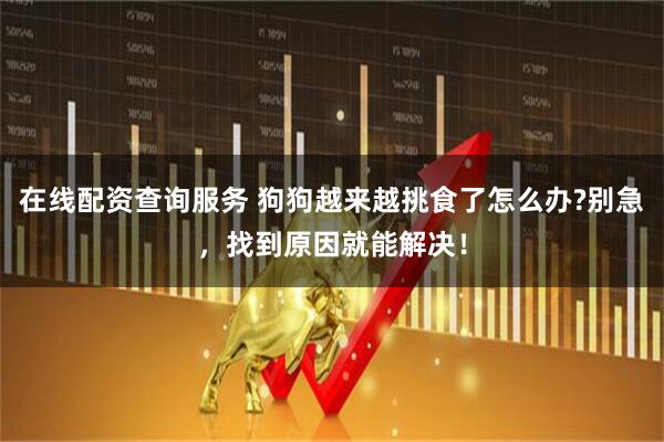 在线配资查询服务 狗狗越来越挑食了怎么办?别急，找到原因就能解决！