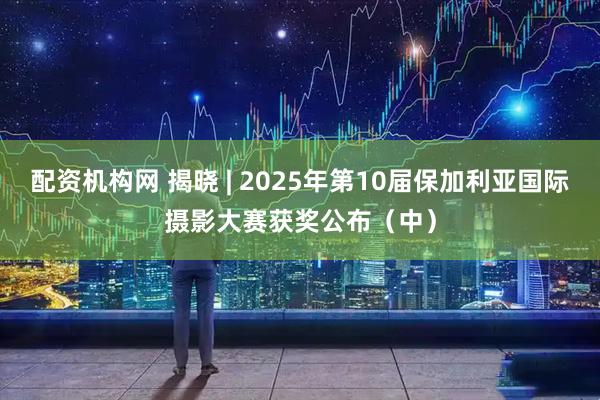 配资机构网 揭晓 | 2025年第10届保加利亚国际摄影大赛获奖公布(中)