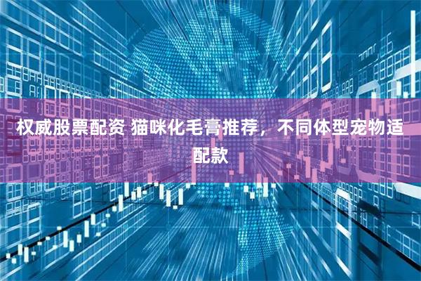 权威股票配资 猫咪化毛膏推荐，不同体型宠物适配款